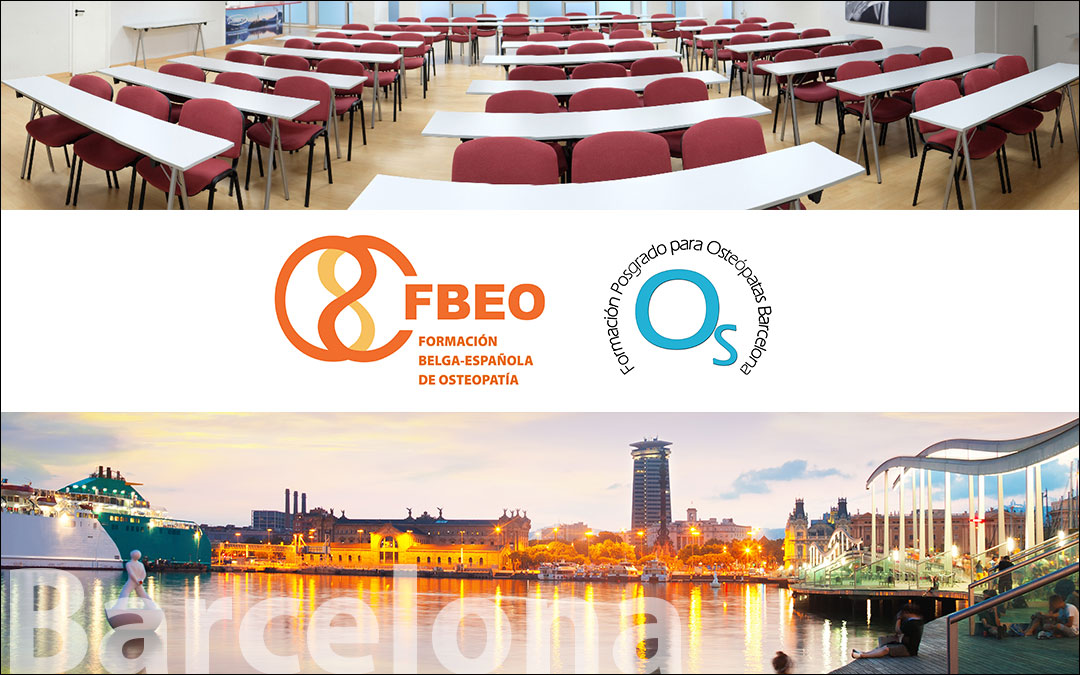Master en Osteopatia por FBEO
